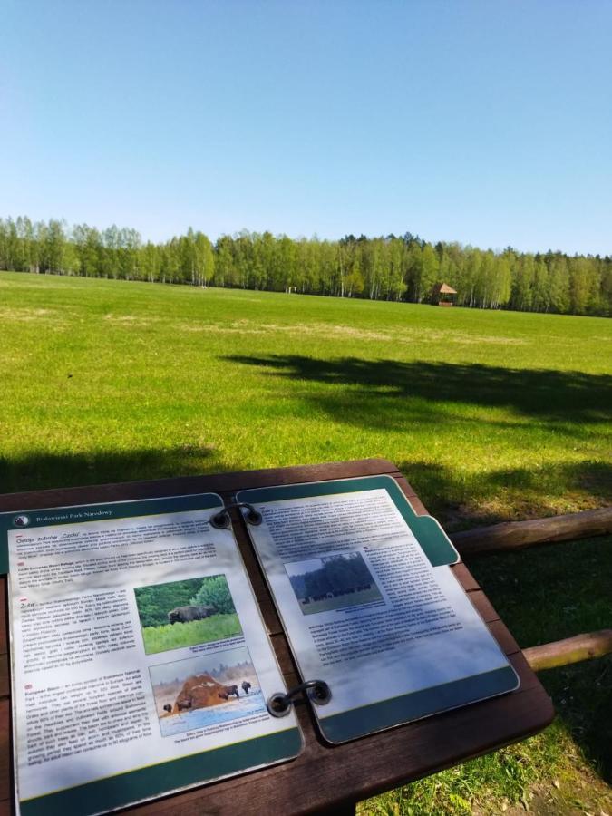 Villa Przy Lesie Białowieża Esterno foto
